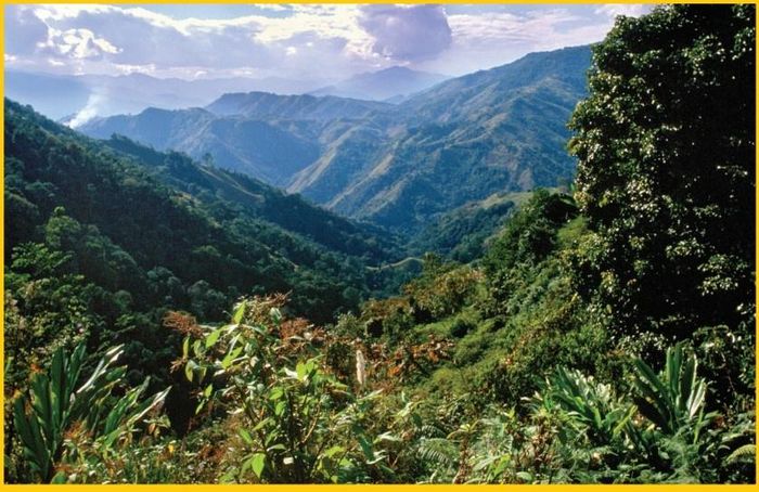  Những khu rừng và sườn đồi tươi tốt ở Arunachal Pradesh, Ấn Độ là một phần của điểm nóng đa dạng sinh học Indo-Burma. Khu vực chứa khoảng 40% các loài động thực vật của Ấn Độ. Ảnh trong sách Sinh thái học - Khái lược những tư tưởng lớn. 