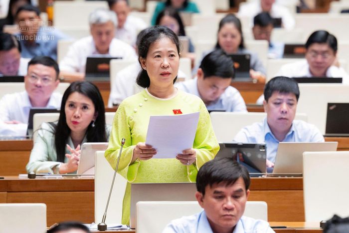 Đại biểu Dương Khắc Mai (đoàn Lâm Đồng) và đại biểu Tô Ái Vang (đoàn Cần Thơ) góp ý về dự án Luật sửa đổi, bổ sung một số điều của Luật Chứng khoán. Ảnh: Quochoi.vn.
