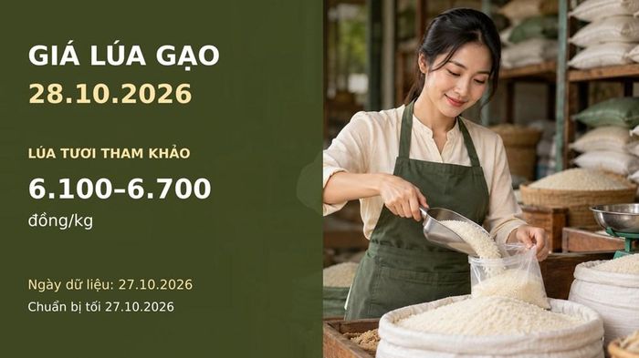 Hình minh họa