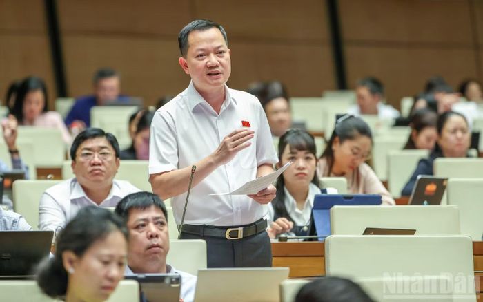 Đại biểu Trịnh Xuân An (Đoàn thành phố Đồng Nai) phát biểu tại hội trường. (Ảnh: DUY LINH)