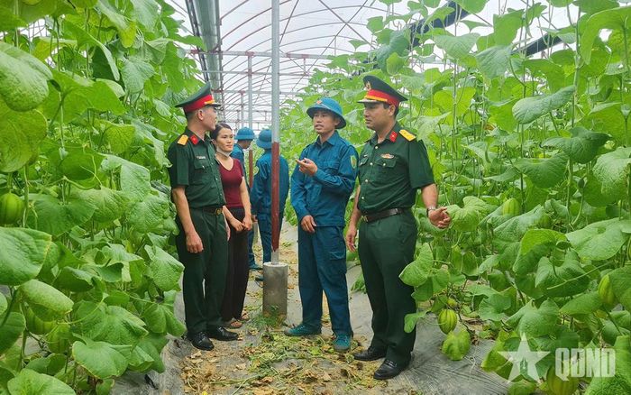 Anh Trần Quốc Tuấn giới thiệu mô hình trồng dưa lê Hàn Quốc.