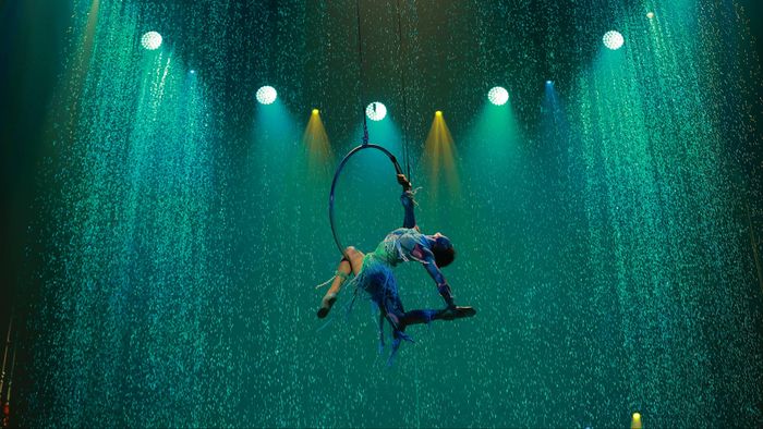 Nghệ thuật biểu diễn xiếc trong Mơ show (NSND-TS ỨNG DUY THỊNH)