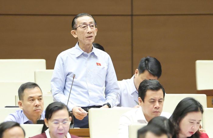  ĐB Trần Hoàng Ngân (TPHCM). Ảnh: QUANG PHÚC 