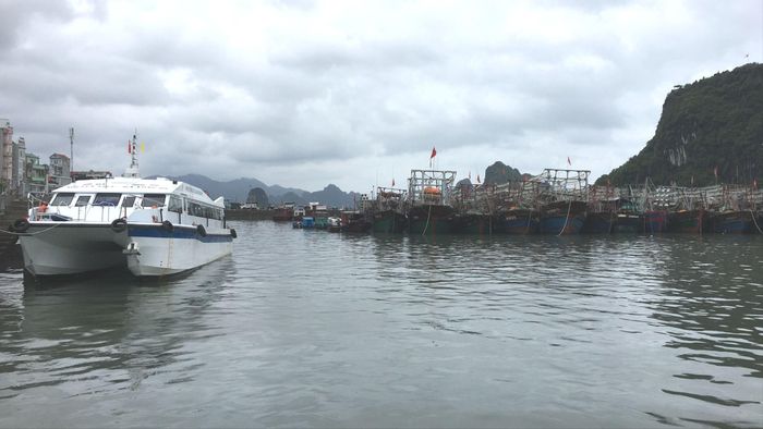 Các địa phương cần bảo đảm an toàn cho tàu thuyền trước gió mạnh trên biển. Ảnh minh họa: PHÚC HẬU