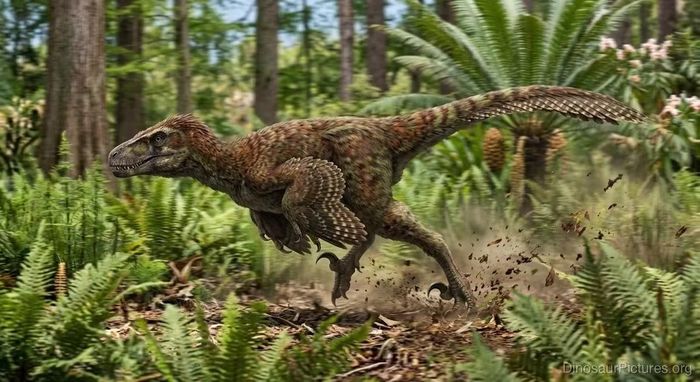 Ảnh: dinosaurpictures.org