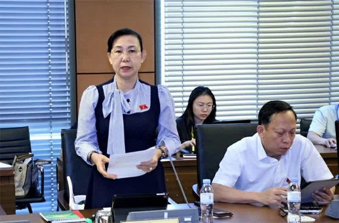 Đại biểu Phan Thị Mỹ Dung cho rằng khi thu hẹp quá mức nguồn cung thuốc lá hợp pháp, một bộ phận người dân có nhu cầu có thể tìm đến nguồn cung bất hợp pháp.