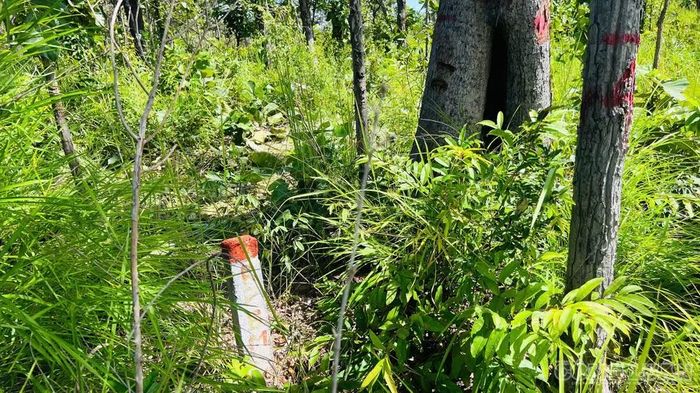 Cột mốc giải phóng mặt bằng được cắm trên tuyến nhằm định vị chính xác ranh giới, phạm vi dự án thực hiện. Ảnh Trần Hiền