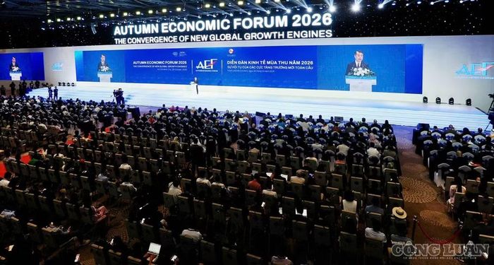  Quang cảnh Phiên toàn thể cấp cao Diễn đàn Kinh tế Mùa thu 2026. Ảnh. CK. 