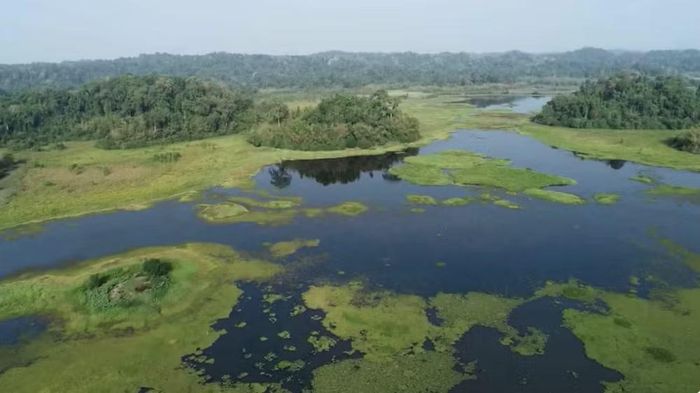 “Vietnam Wild Live” mùa 2 mở hành trình khám phá Vườn quốc gia Cát Tiên. Ảnh: VTV
