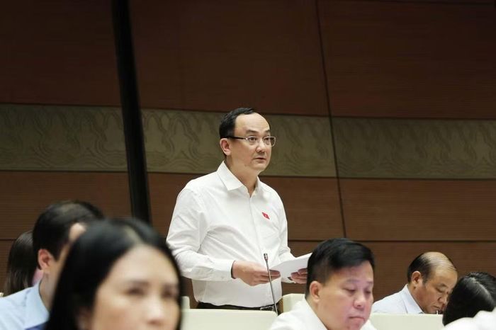 Đại biểu Nguyễn Ngọc Sơn. Ảnh: QH