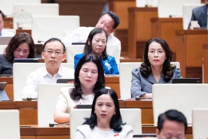 Các đại biểu làm việc tại hội trường. Ảnh: QH