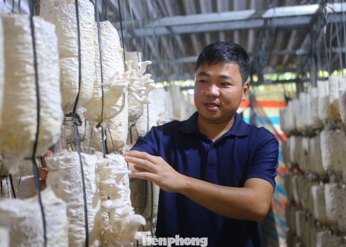  Trước khi về quê lập nghiệp﻿, anh Đức có gần 10 năm làm việc tại Trung tâm Nghiên cứu và Phát triển nấm thuộc Viện Di truyền nông nghiệp. Quá trình này giúp anh tích lũy kinh nghiệm, nắm vững kỹ thuật sản xuất và nhận thấy tiềm năng kinh tế từ nghề trồng nấm. 