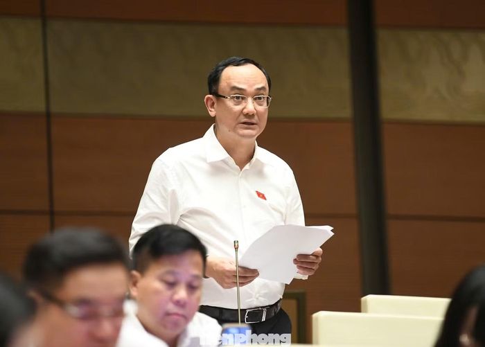 Đại biểu Nguyễn Ngọc Sơn. Ảnh: Như Ý.