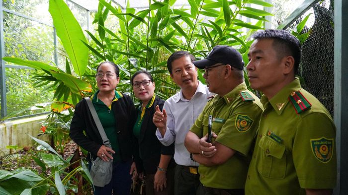 Tham quan môi trường sống của chim trĩ sao tại Vườn quốc gia Bạch Mã.
