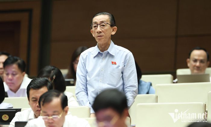 Đại biểu Trần Hoàng Ngân