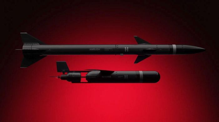 Hai mẫu tên lửa đánh chặn AD-1 Inferno và tên lửa AD-2 Ambush của Helsing. Ảnh: Helsing/breakingdefense.com