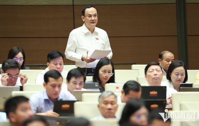 Đại biểu Nguyễn Ngọc Sơn