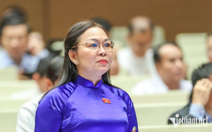 Đại biểu Lý Anh Thư