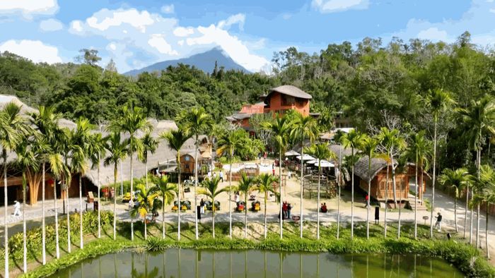 Những năm gần đây, thôn Mao Nạp kết hợp cảnh quan rừng mưa nhiệt đới, đồi chè và văn hóa truyền thống để phát triển du lịch, mở thêm cơ hội việc làm cho người dân. Ảnh: CCTV