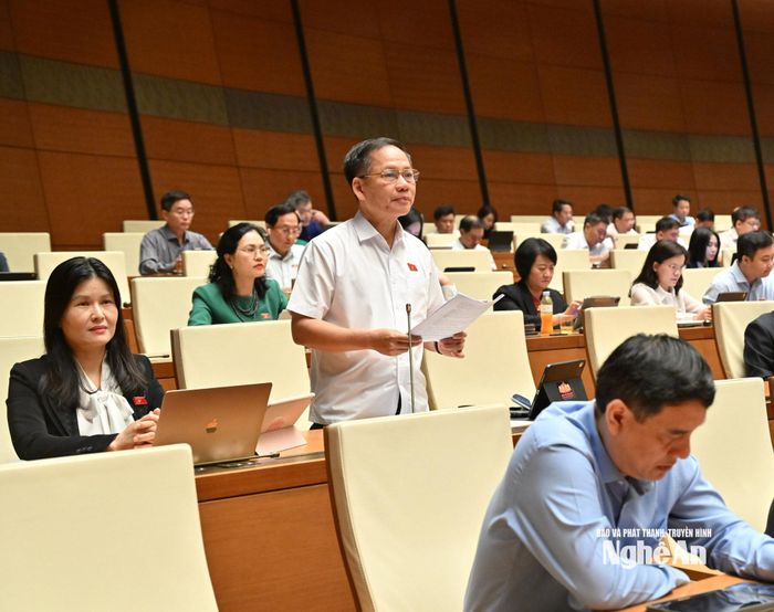 Đại biểu Trần Đình Gia - Đoàn ĐBQH tỉnh Hà Tĩnh phát biểu thảo luận. Ảnh: Viết Chung