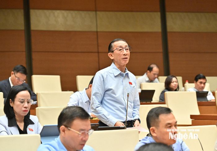 Đại biểu Trần Hoàng Ngân - Đoàn ĐBQH TP. Hồ Chí Minh phát biểu thảo luận. Ảnh: Viết Chung