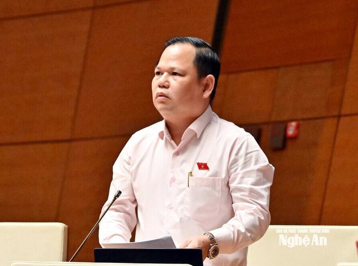 Đại biểu Nguyễn Duy Thanh - Đoàn ĐBQH tỉnh Cà Mau phát biểu thảo luận. Ảnh: V.C