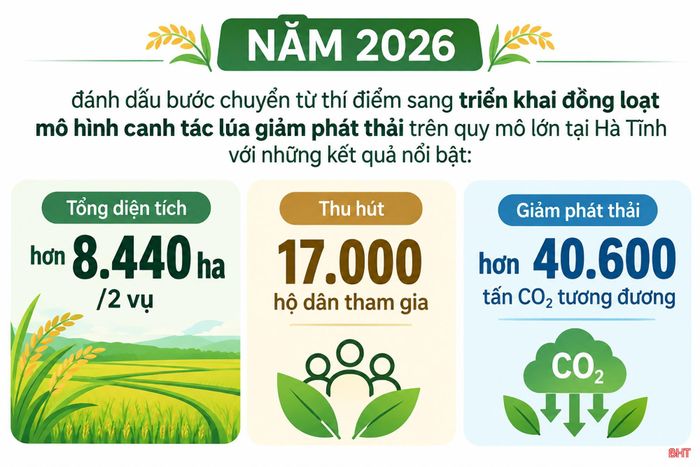 Hà Tĩnh triển khai đồng loạt mô hình canh tác lúa giảm phát thải trên quy mô lớn tại Hà Tĩnh với tổng diện tích hơn 8.440 ha/2 vụ