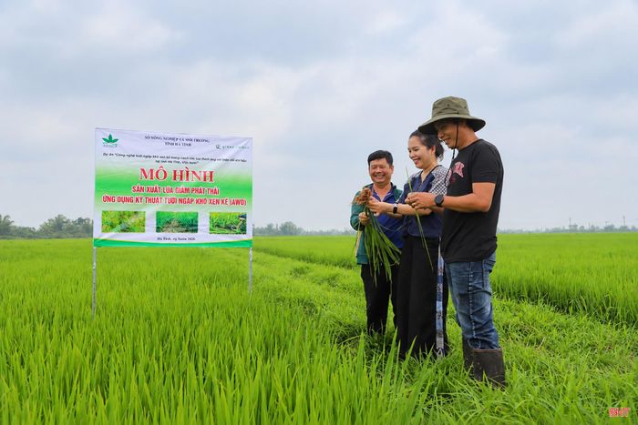 Ông Tô Đăng Đông (người đứng ngoài cùng bên trái) tham gia mô hình canh tác lúa giảm phát thải, áp dụng kỹ thuật tưới ngập - khô xen kẽ (AWD).
