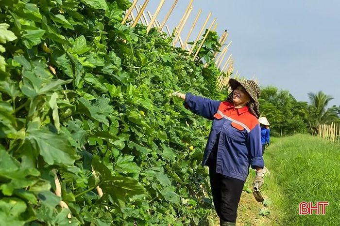 Tư duy phát triển nông nghiệp sinh thái cũng đang từng bước lan tỏa vào đời sống nông thôn với sự hình thành các làng nông nghiệp hữu cơ, kinh tế tuần hoàn.