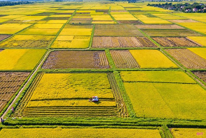Theo báo cáo của Sở NN&MT, đến nay, toàn tỉnh đã thực hiện tập trung, tích tụ hơn 15.100 ha ruộng đất; hơn 85% số hộ được canh tác trên 1 thửa tại các diện tích đã chuyển đổi, tích tụ. Ảnh minh họa