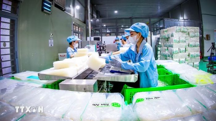 Một cơ sở sản xuất bánh tráng Tây Ninh. (Ảnh: Minh Phú/TTXVN)