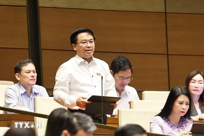 Đại biểu Quốc hội thành phố Hải Phòng Bùi Xuân Hải phát biểu. (Ảnh: Doãn Tấn/TTXVN)