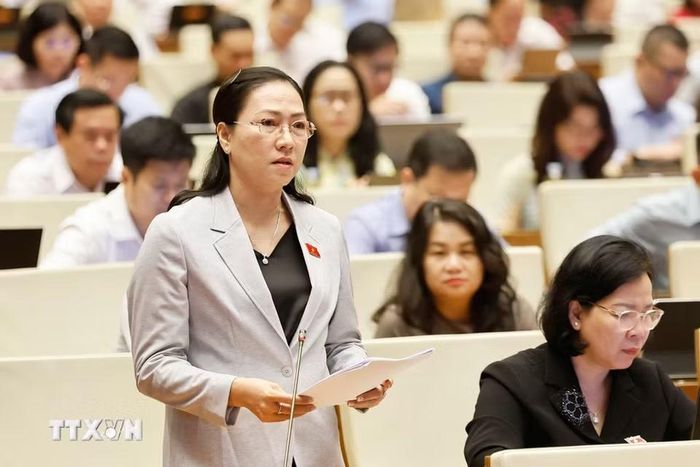 Đại biểu Quốc hội tỉnh Vĩnh Long Nguyễn Thị Yến Nhi phát biểu. (Ảnh: Doãn Tấn/ TTXVN)