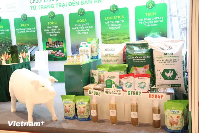 Quản lý an toàn thực phẩm. (Ảnh: PV/Vietnam+)