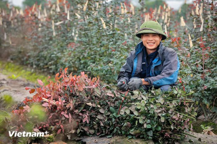 Nâng cao năng lực số cho hợp tác xã, doanh nghiệp, nông dân. (Ảnh: Hoài Nam/Vietnam+)