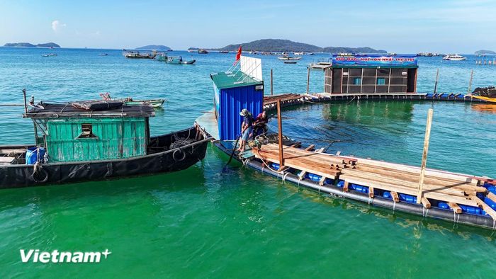 Nuôi biển công nghiệp. (Ảnh: Hoài Nam/Vietnam+)