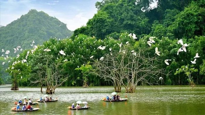 Khe Song – Thác Bạc sở hữu cảnh quan rừng núi, suối thác tự nhiên, tạo tiềm năng phát triển du lịch sinh thái tại Yên Tử. (Nguồn: Báo Quảng Ninh)