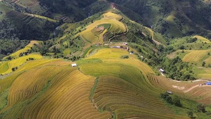 Tà Xùa đặt mục tiêu đến năm 2030 trở thành khu du lịch cấp tỉnh, đồng thời hướng tới mục tiêu xa hơn là phát triển thành khu du lịch quốc gia và trở thành phường vào năm 2045. (Ảnh: PV/Vietnam+)