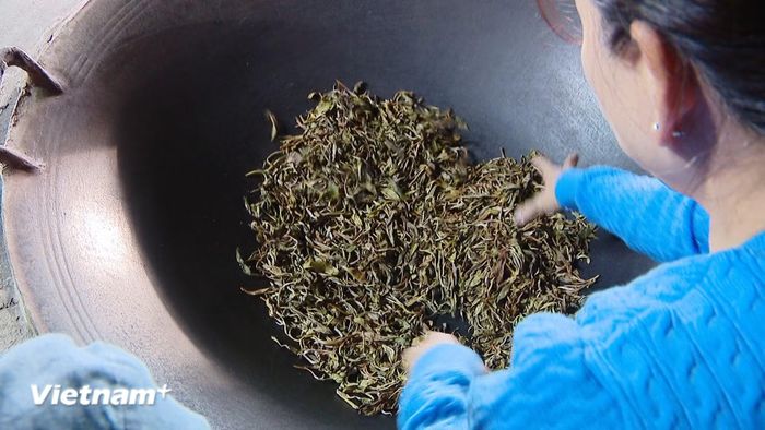 Ở tiệm trà "Kiên nông dân", du khách có thể tự tay sao trà bằng chảo gang trên bếp củi, thưởng thức trà và nghe những câu chuyện về văn hóa địa phương. (Ảnh: PV/Vietnam+)
