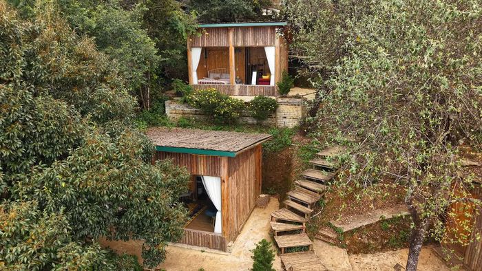 Homestay bằng gỗ ẩn mình giữa thiên nhiên Tà Xùa. (Ảnh: PV/Vietnam+)