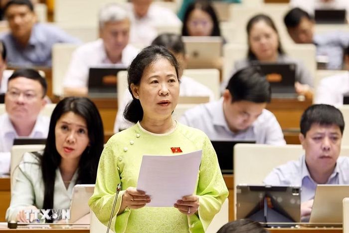 Đại biểu Tô Ái Vang, Đoàn ĐBQH thành phố Cần Thơ. (Ảnh: TTXVN)
