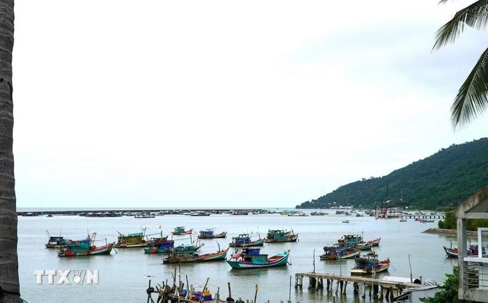 Mô hình nuôi cá lồng trên biển tại đảo Hòn Tre, đặc khu Kiên Hải, An Giang. (Ảnh: Văn Sỹ/TTXVN)