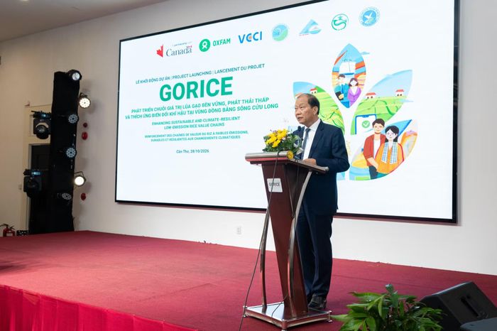 Ông Hoàng Quang Phòng cho biết thông qua dự án GORICE, VCCI sẽ đồng hành hỗ trợ thiết lập liên kết thu mua cho khoảng 1.500 người trồng lúa. (Ảnh: Vietnam+)