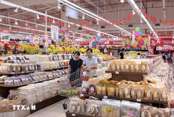(Ảnh minh họa. Trần Việt/TTXVN)