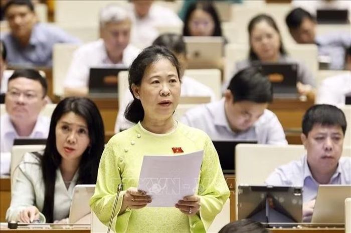 Đại biểu Quốc hội TP Cần Thơ Tô Ái Vang phát biểu. Ảnh: Doãn Tấn/TTXVN