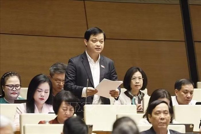 Đại biểu Quốc hội TP Huế Nguyễn Hải Nam phát biểu. Ảnh: Doãn Tấn/TTXVN