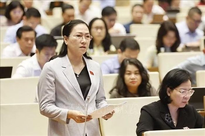Đại biểu Quốc hội tỉnh Vĩnh Long Nguyễn Thị Yến Nhi phát biểu. Ảnh: Doãn Tấn/TTXVN