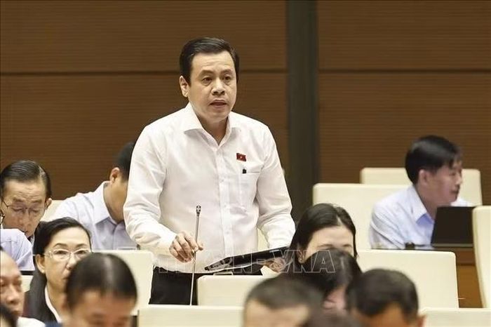 Đại biểu Quốc hội Thành phố Hồ Chí Minh Trần Anh Tuấn phát biểu. Ảnh: Doãn Tấn/TTXVN