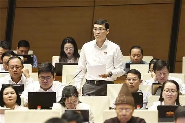 Đại biểu Quốc hội Thành phố Hồ Chí Minh Đỗ Đức Hiển phát biểu. Ảnh: Doãn Tấn/TTXVN
