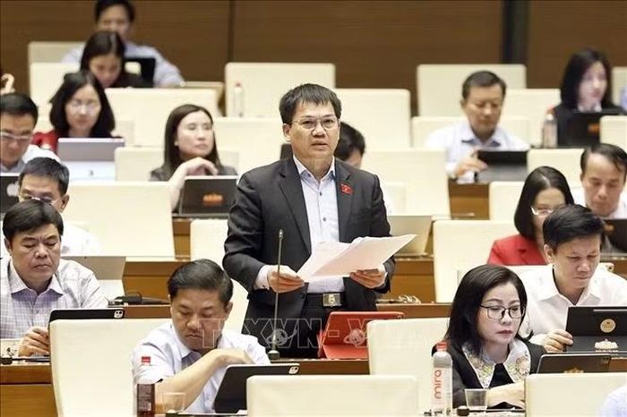 Đại biểu Quốc hội tỉnh Lâm Đồng Dương Khắc Mai phát biểu. Ảnh: Doãn Tấn/TTXVN